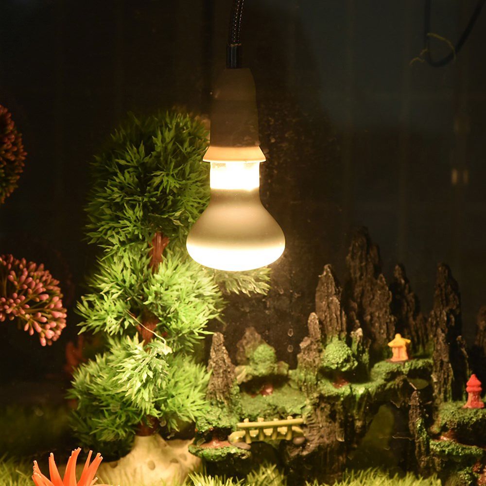 Amfibieën Temperatuurregelaar  - Basking Bulb Halogen recensie en prijs