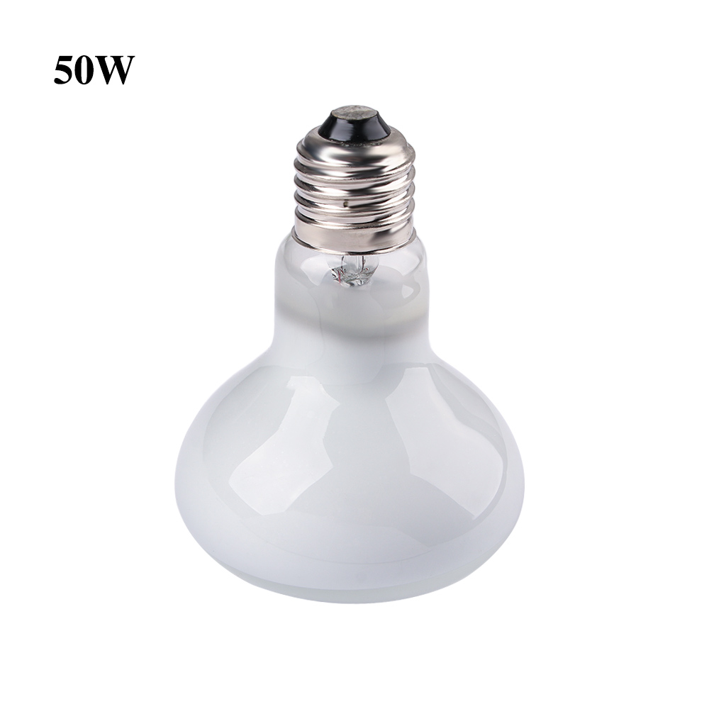 Schildpadverwarmer met tempera - Basking Bulb Halogen recensie en prijs