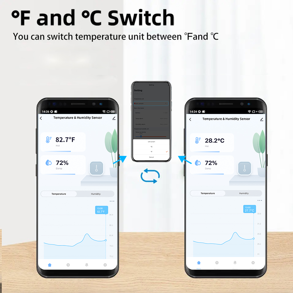 IP65 Zigbee of WiFi temperatuu - Digital Hygrometer Probe recensie en prijs