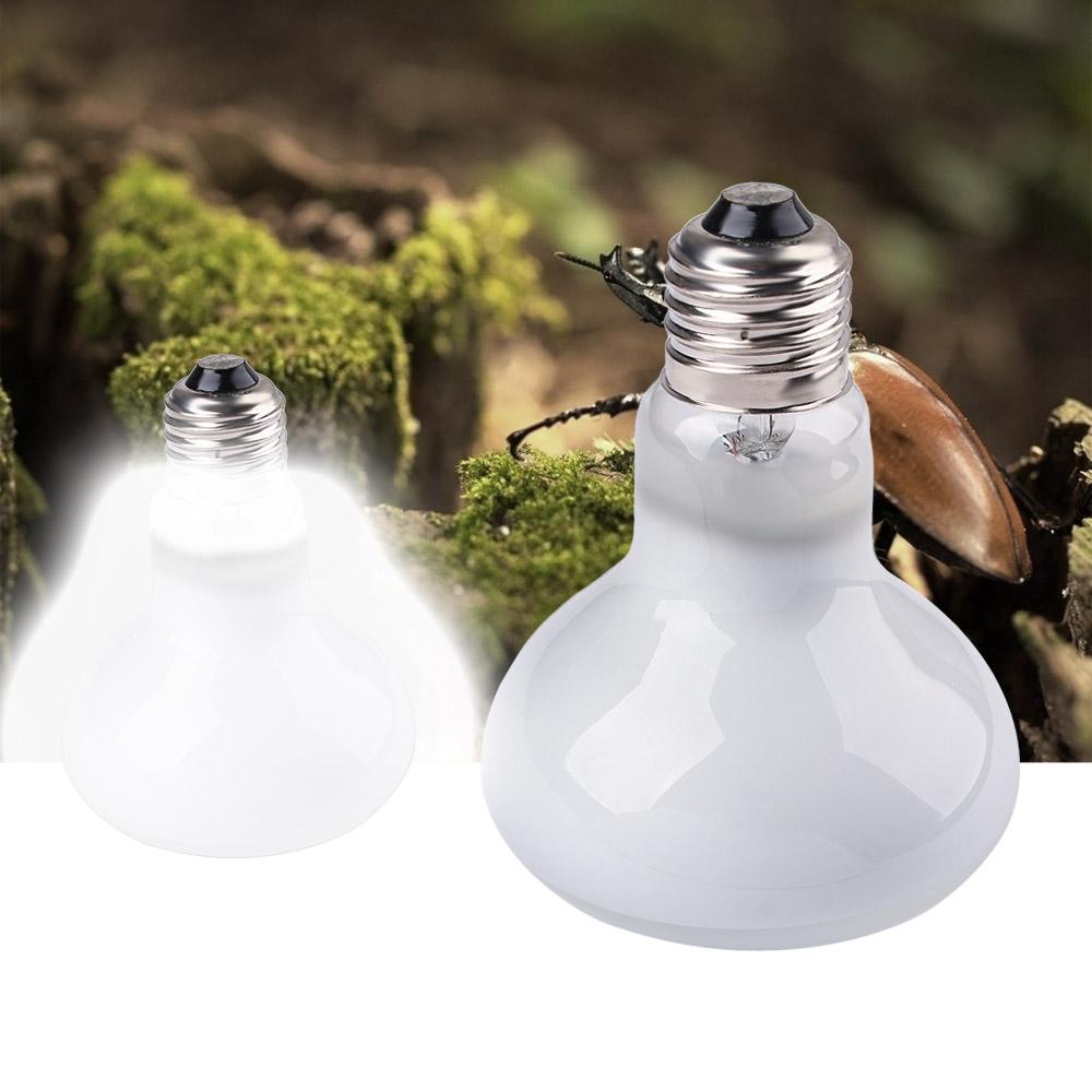 Schildpadverwarmer, warmtelamp - Basking Bulb Halogen recensie en prijs