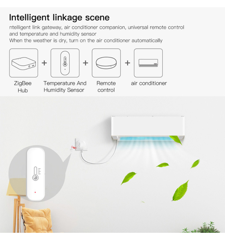 eWeLink Smart ZigBee temperatu - Digital Hygrometer Probe recensie en prijs