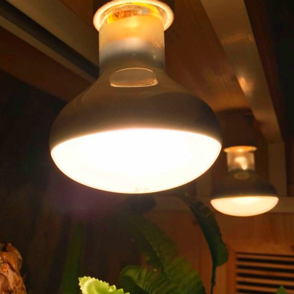 Schildpadverwarmer Warmtelamp  - Basking Bulb Halogen recensie en prijs