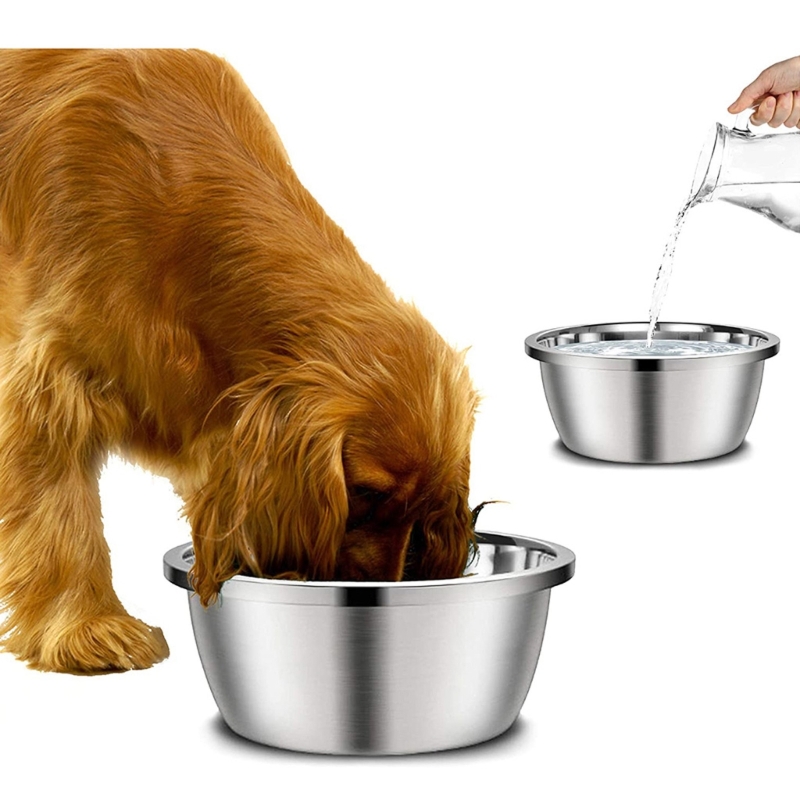 Een roestvrijstalen hondenvoed - Royal Canin Food Medium recensie en prijs